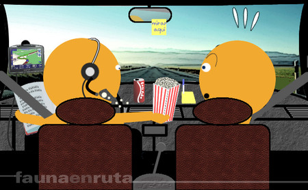 Distracciones - fauna en ruta