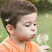 Cinco simples hábitos diarios que moldean una mente brillante en los niños 