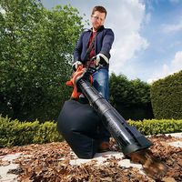 Ideal para recoger las hojas caídas en otoño: soplador y aspirador Black & Decker GW3050-QS por 101,25 euros en Amazon