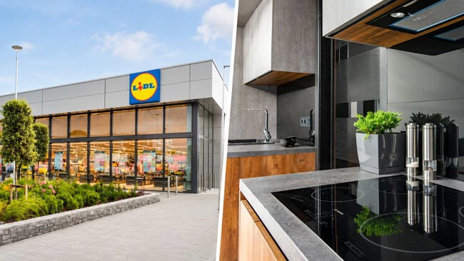 Lidl Vitro