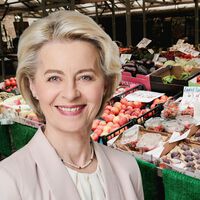 La UE aportará más de 413 millones para frutas y hortalizas en España, pero no es un salvavidas frente a Mercosur