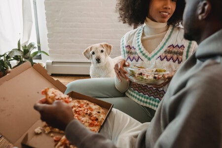 Comida para perros alimentación