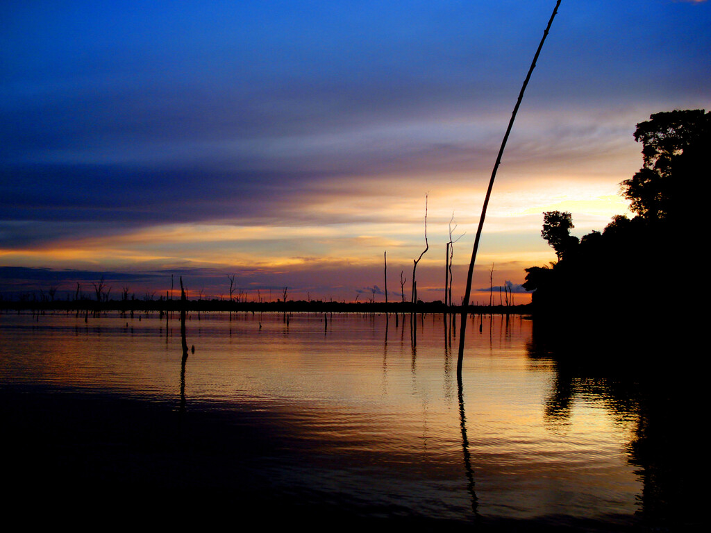 En 1987, Brasil inundó una parte de Amazonas del tamaño de Tenerife para una hidroeléctrica. Fue un desastre sin precedentes