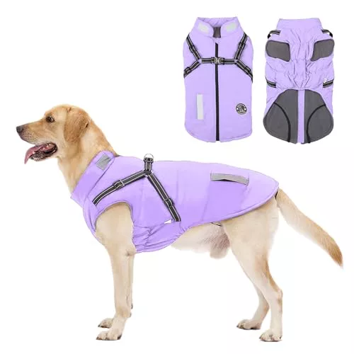 Abrigo Impermeable para Perros Resistente al Viento