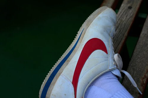 Luca Trassini Ikb Wxs R4q Unsplash