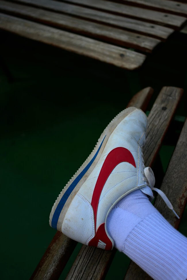 Luca Trassini Ikb Wxs R4q Unsplash