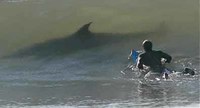 Las playas más peligrosas del mundo