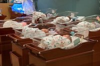 Los nidos, cuneros o nurserys, ¿sirven para algo?