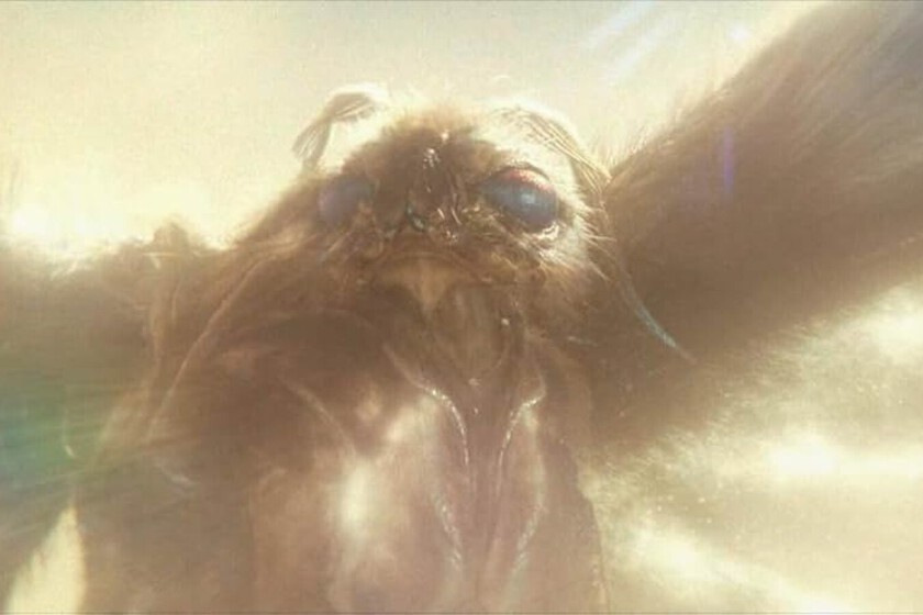 Godzilla x Kong