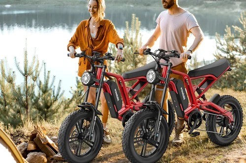 Bicicleta eléctrica HIDOES HD-B6