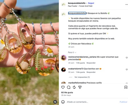 Bosques De Bolsillo Joyeria Botanica