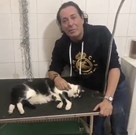Pipi Estrada lamenta la muerte de su gato, y nosotros lamentamos haber visto el vídeo que ha compartido