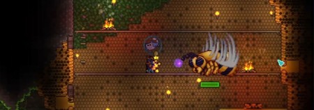 Abeja Reina Terraria