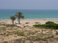 Las mejores playas de Alicante