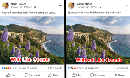 Fb Me Gusta