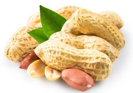 Permitir que los bebés coman cacahuetes podría evitar que desarrollen alergia