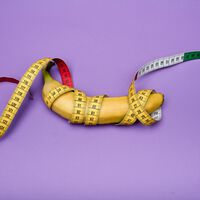 Tamanho do pênis importa? A ciência finalmente traz a resposta 