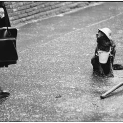 Foto 11 de 12 de la galería sony-world-photography-awards-2015 en Xataka Foto