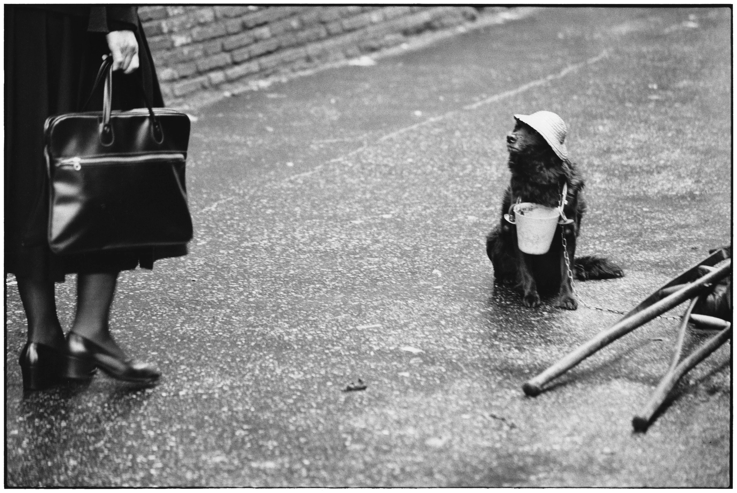 Foto de Sony World Photography Awards 2015 (11/12)