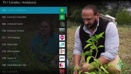 Kodi