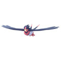 Swellow
