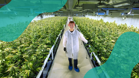 Cannabis Careers Canada