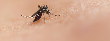 El viernes llega a Lidl la mosquitera para puerta que se instala sin taladros y cuesta menos de 5 euros