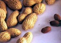 Efectos de la ingesta de cacahuetes durante el embarazo o la lactancia