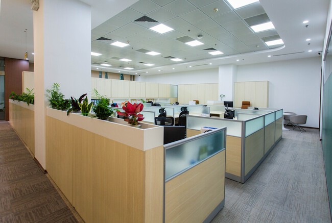 Un detective privado descubrió a una empleada de baja trabajando para una empresa rival: despido procedente