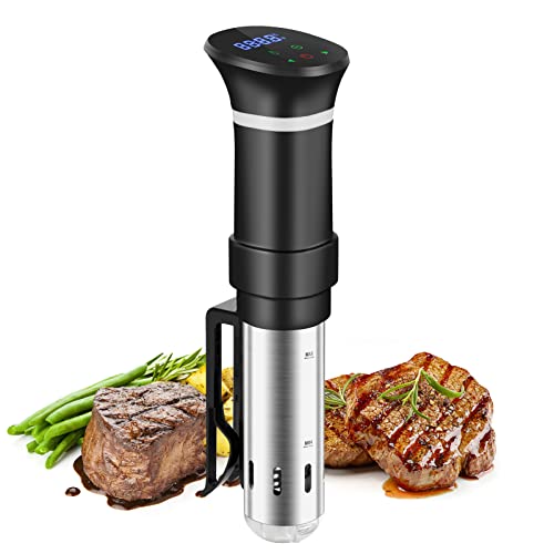 Sous Vide Roner Cocina Baja Temperatura