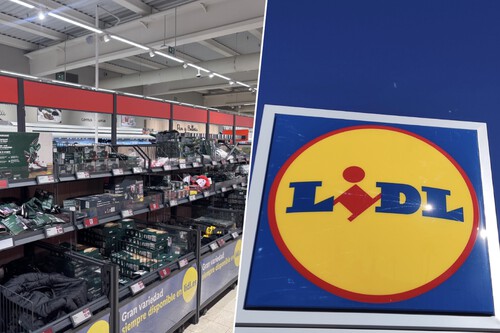 Llega a Lidl, el lunes 19 de octubre, la solución para conectar varios dispositivos en altura en patios, terrazas o dentro de casa 