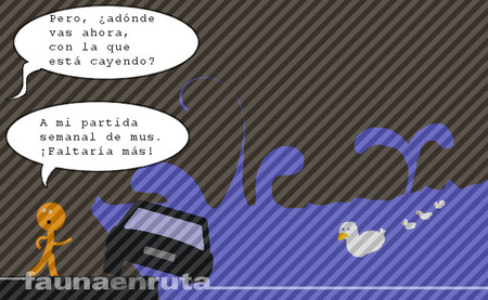 fauna en ruta: tentando la suerte