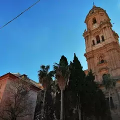 Foto 71 de 154 de la galería fotos-tomadas-con-el-honor-10-lite en Xataka Android