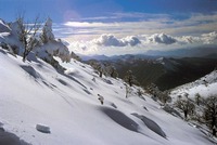 Sierra de las Nieves, destino europeo de excelencia