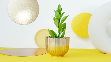 Pexels Artempodrez 7242508