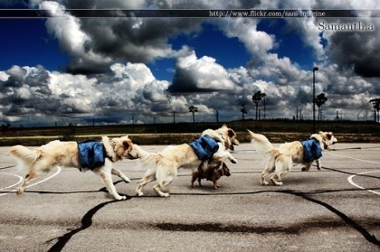 Siete fotógrafas españolas con mucho estilo en Flickr