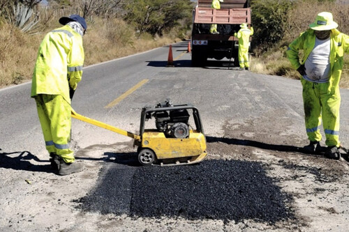 Bache 4