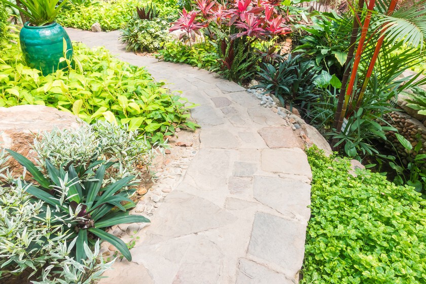 Plantas para limitar las malas hierbas
