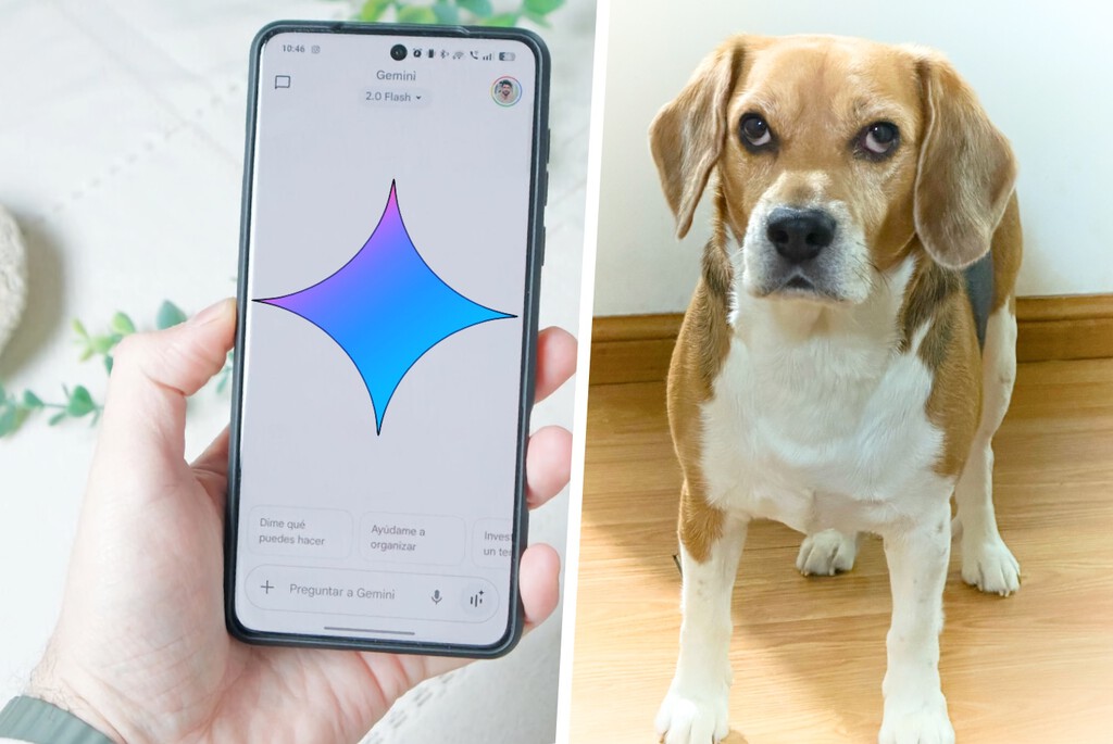 Uso Gemini desde hace más de un año y lo que nunca imaginé es que me ayudaría a salvarle la vida a mi perro