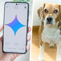 Uso Gemini desde hace más de un año y lo que nunca imaginé es que me ayudaría a salvarle la vida a mi perro
