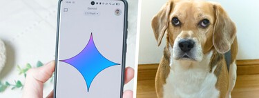 Uso Gemini desde hace más de un año y lo que nunca imaginé es que me ayudaría a salvarle la vida a mi perro