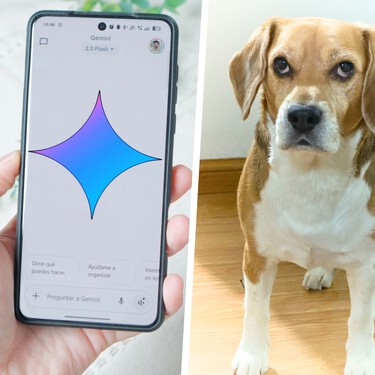 Uso Gemini desde hace más de un año y lo que nunca imaginé es que me ayudaría a salvarle la vida a mi perro