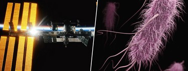 Ante la necesidad de buscar armas contra las superbacterias, la ciencia ha apostado por enviar virus al espacio