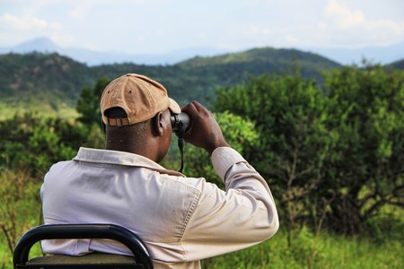 Safari Africa