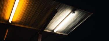 Los tubos fluorescentes iluminan millones de hogares. A partir de agosto quedan prohibidos y esta es la razón