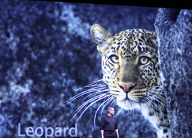 Sólo un mes para Mac OS X "Leopard"