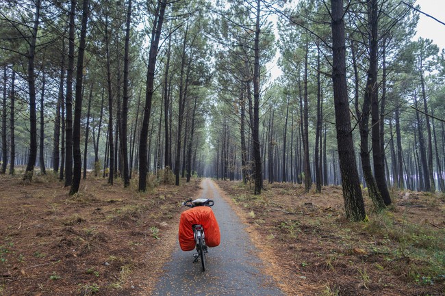 Snap Wander Gzrilcohxsq Unsplash