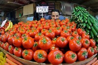 Embajada Samarcanda. Turquía. Trabzon