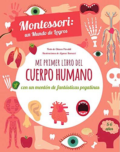 cuentos montessori