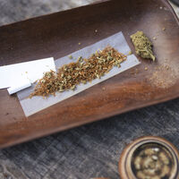 Adeus, "molécula da felicidade": estudo revela o que acontece no cérebro de quem mistura maconha e tabaco 